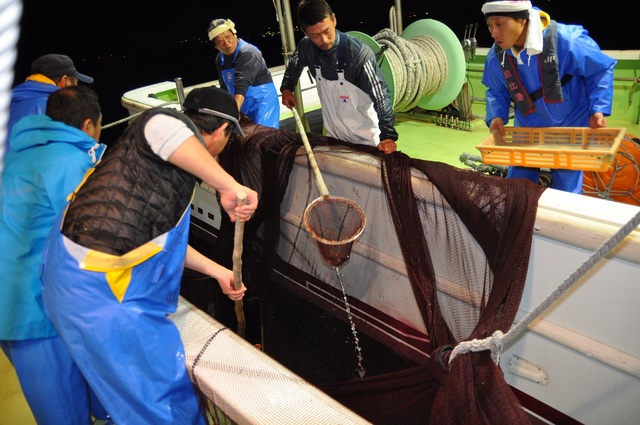 桜えび漁の様子