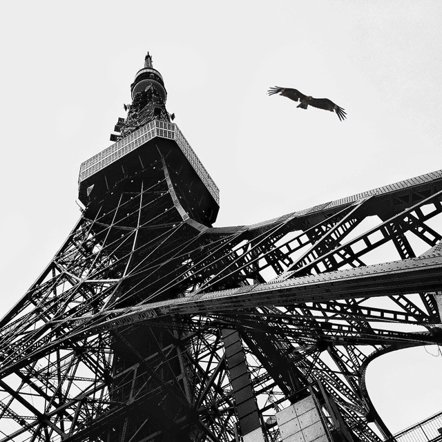 Instagramからエントリーする「SHiKAKUi PHOTO AWARDS」美麗フォト