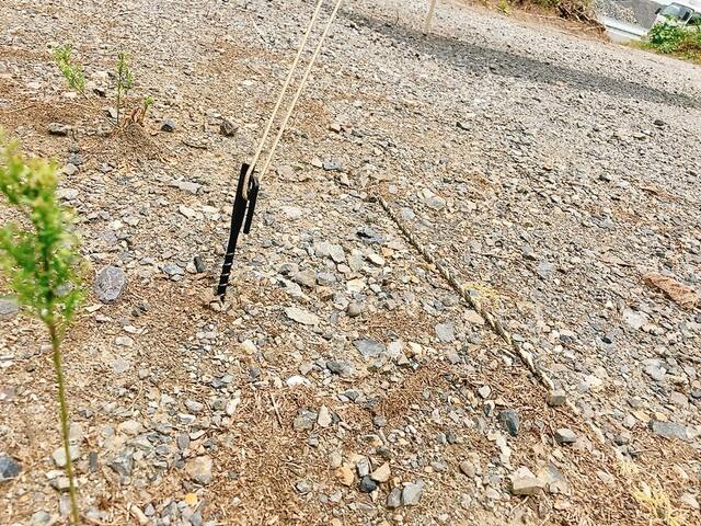 【ワークマン 電動ドライバー対応スクリューペグ 25cm】カラーはシックなブラック