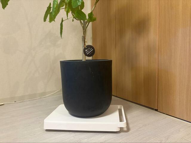 【山崎実業 tower 台車】耐荷重は約100kg！季節家電や食品ストック、観葉植物などかなりの重量物にも対応します