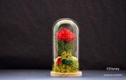 プリザーブドフラワー「魔法のバラ」 22,000円｜日比谷花壇 ディズニーコレクション『美女と野獣』