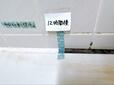 【鈴木油脂工業 カビとり一発】12時間経過。ジェル自体が乾燥して量が減っていったように感じたので、今回の場合は6時間程度でも良さそうでした