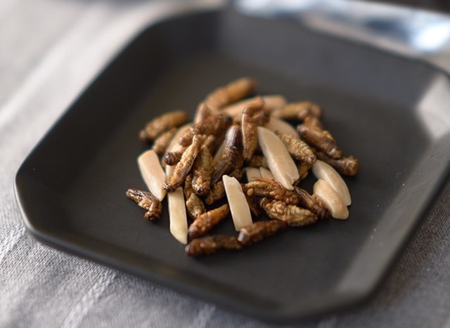 特別展「美味しくてすごい生き物展～美食奇食珍食生物図鑑～」