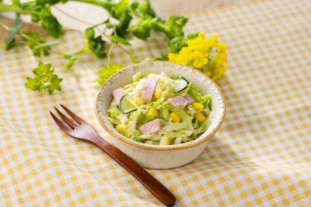 「春を味わうコールスローサラダ」＜価格：257.04円（税込）＞【【セブン-イレブン】うれしい！おいしい！「春のごちグルメ」開催！春の行楽ににぴったりな全20品ご紹介♪】