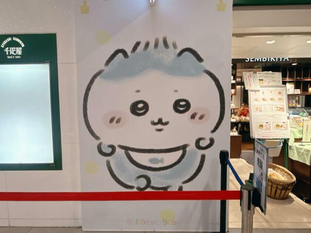 パヤパヤの産毛が愛しいベビーなハチワレ。ずっと見ていられるほどのかわいさです