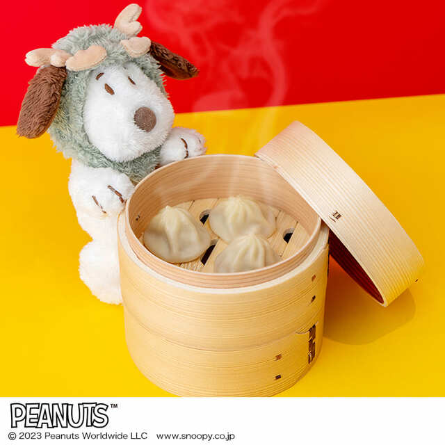 【SNOOPY 2024 辰スヌーピーのぬいぐるみポーチ BOOK】フォトジェニックなのでぬい撮りも捗る～！