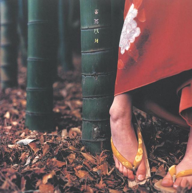 スピッツ『花鳥風月＋』2LPジャケット