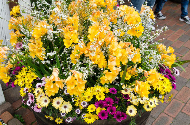 ケープコッド／東京ディズニーシー「ディズニー・イースター2015」©Disney