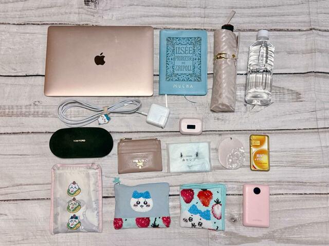 【カルディ りんごバッグ】仕事道具を収納してみました。思った以上に入ります…！