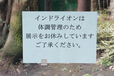 動物園にインドライオンはいませんでした