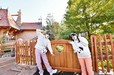 東京ディズニーランド トゥーンタウン