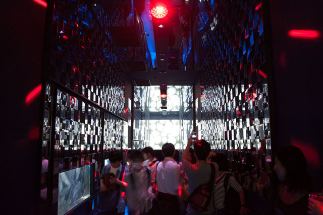 美しい! 「蜷川実花×クラゲ」の超幻想世界