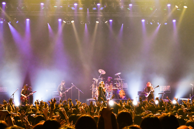 メリー　（PHOTO BY 土屋良太）