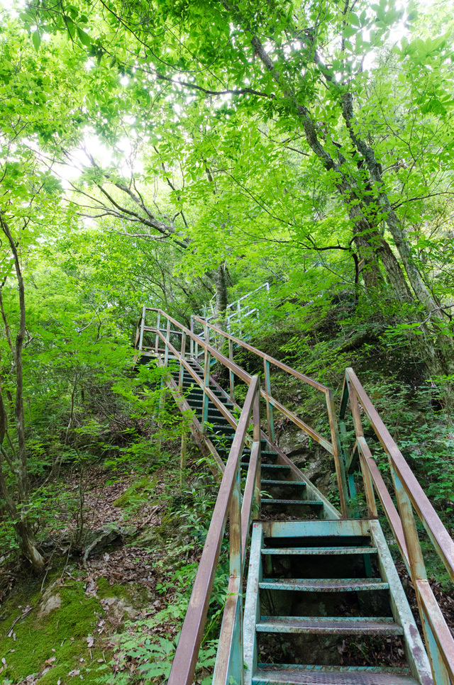 夢の吊り橋を渡りきると、急な上りが続く｜「夢の吊り橋」散策ルート：寸又峡プロムナード