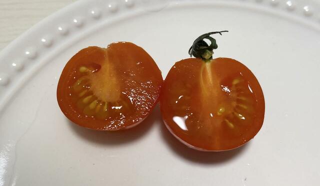 【ニトリ フレッシュキーパークラリー】実が締まっていて表面も張っている