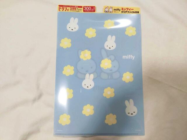 オシャレなクリアファイル