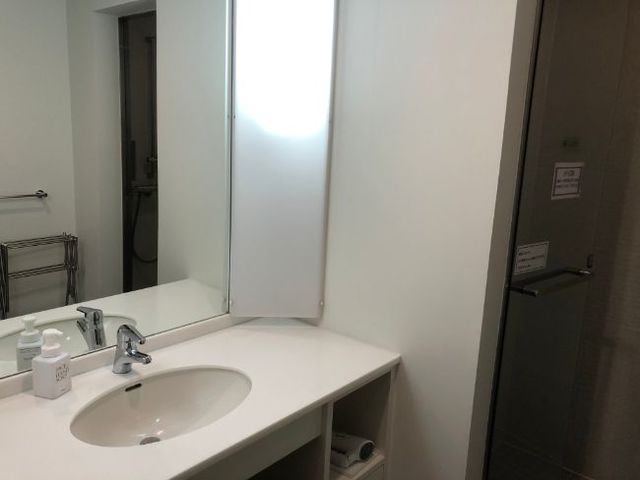 シャワーにドレッサーもついていて、女性にはうれしい限り