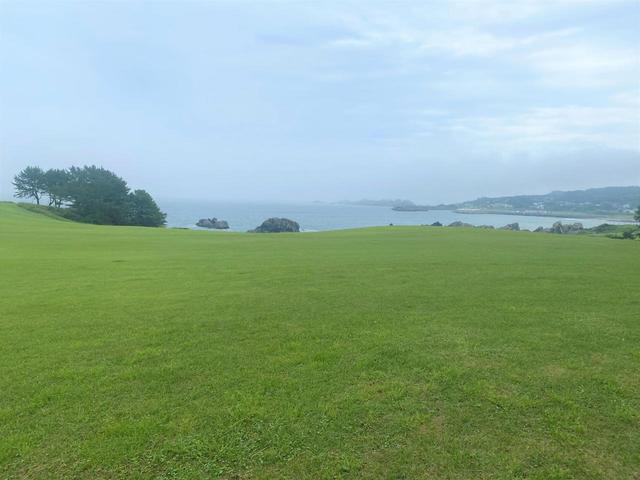 【種差天然芝生地】芝生のじゅうたんに思わず寝ころびたくなる！