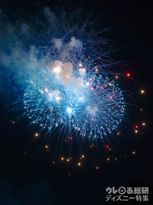 ブランニュードリーム｜東京ディズニーリゾート35周年“Happiest Celebration! ”