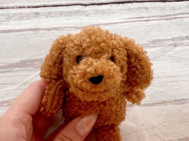 つぶらな黒いおめめがたまらなくキュート…！