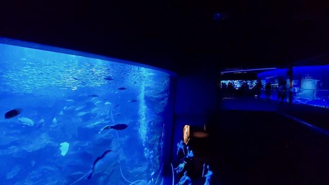 京都水族館