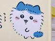 ふわふわまんまるのハチワレはまるでペルシャ猫のよう。かわいい！