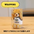 【クラブベア】透明クリアボックス入り！