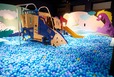 コケムス内ボールプール
