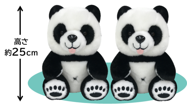 「ふたごパンダちゃんぬいぐるみイメージ」＜実施期間：2023年9月1日(金)～11月30日（木）＞【ふたごパンダちゃんぬいぐるみプレゼントキャンペーン】