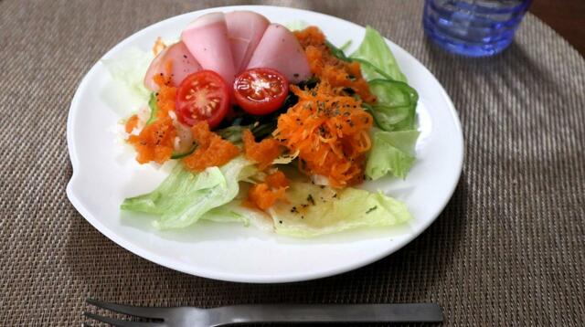 【ニトリ 1台10役スライサーセット・長方形】レストランで提供されるような映えサラダが完成！