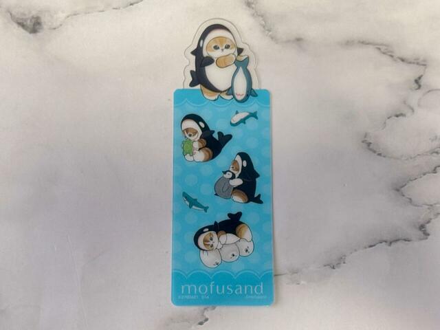 シャチにゃんが来てくれました！