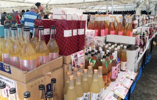 厳選 梅酒まつりin天王洲キャナル