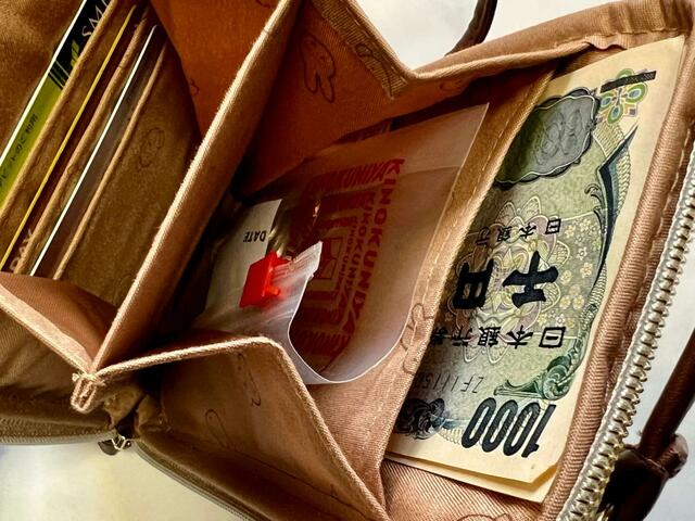 バック側の収納スペースにコインをジップロックに入れて収納してみました