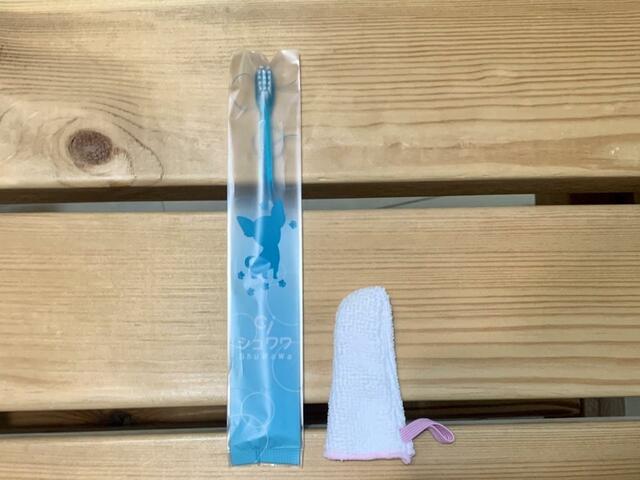 【いぬのきもち7月号 ネックが曲がる歯ブラシ＆指サック】7月号の付録のデンタルケアグッズ