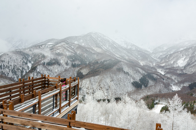 HAKUBA MOUNTAIN HARBOR｜白馬岩岳スノーフィールド