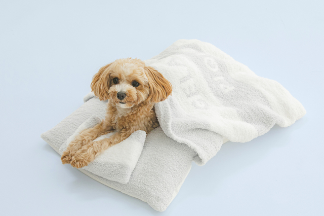 べビモコおふとんセット　7,920円（税込）