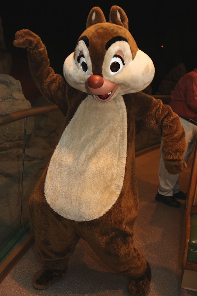 ガーデン・グリル・レストランのデール