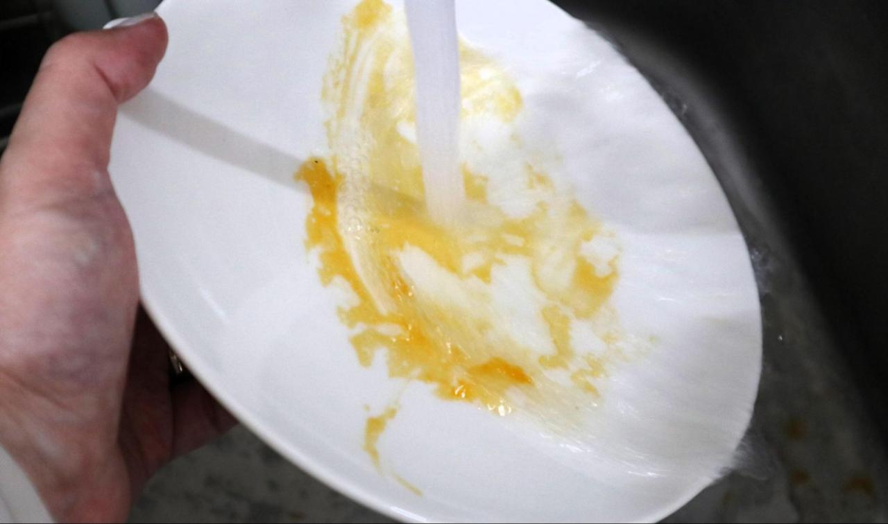 洗剤不要の食器「洗わないお皿」に主婦歓喜!すすぐだけで油汚れもピカピカに(写真 21/25) - ハピママ*