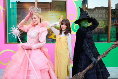 USJ　ウィキッド　エルファバ&グリンダ　スウェット　Lサイズ img_351d4e0976291721b15decb602