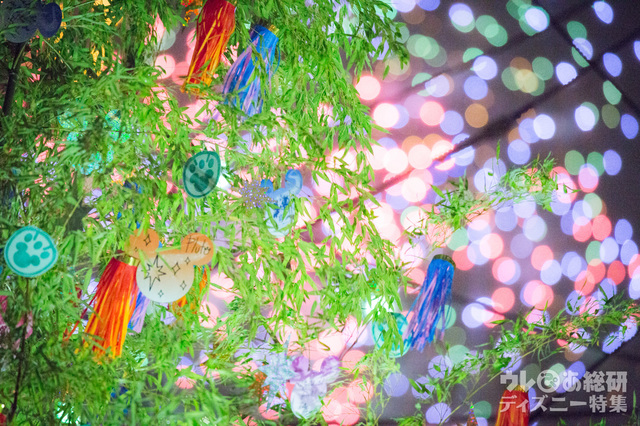 ウィッシングプレイス｜東京ディズニーシー2016年「ディズニー七夕デイズ」