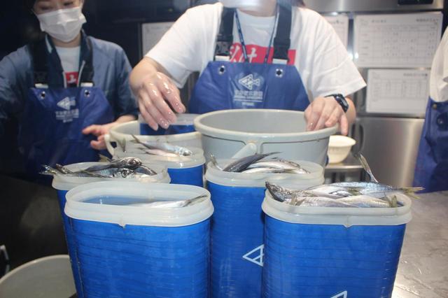 キッチンで用意されていたペンギン用のゴハン。