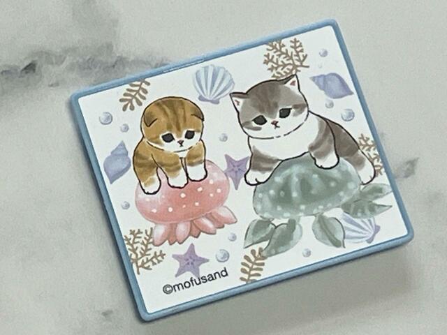 ラストはにゃんことクラゲでした!