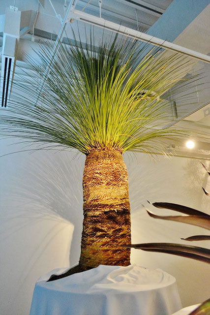 「ウルトラ植物博覧会」で展示されている植物たち