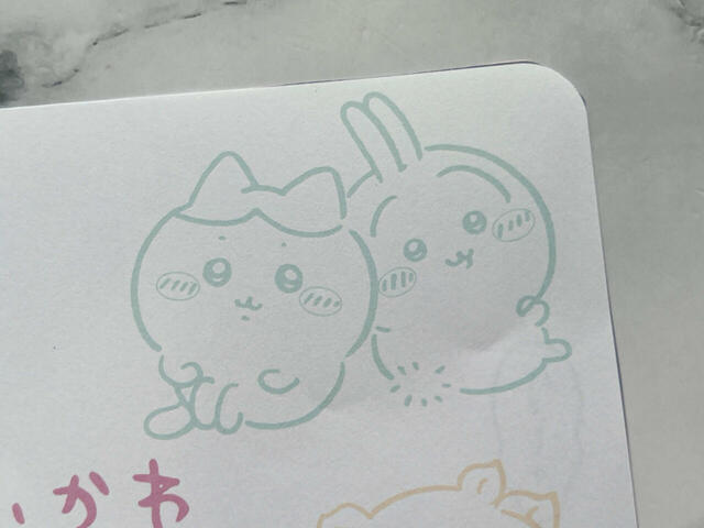 ハチワレとうさぎのコンビ。お座りしているのがかわいい♪