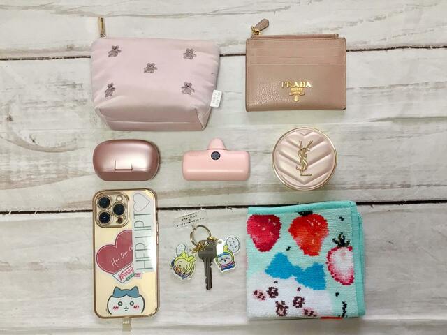 ミニサイズですが、これだけの荷物が収納可能♪