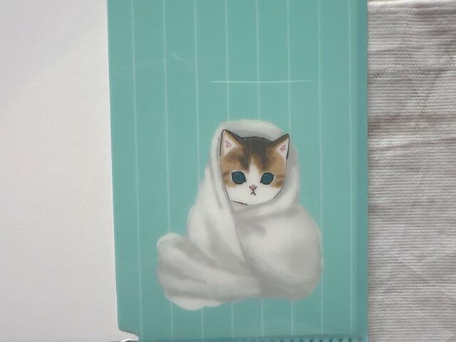 こちらを見つめる眼差しがたまりません…!