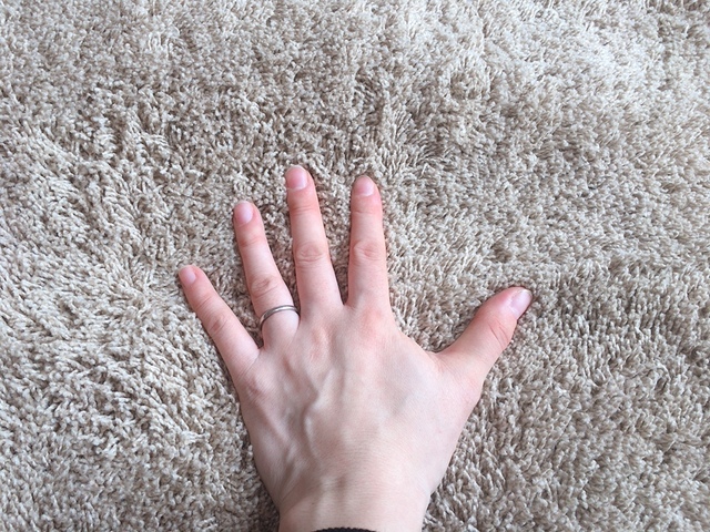 【ニトリ ほこりが取れやすい洗えるラグ】フワフワの触り心地