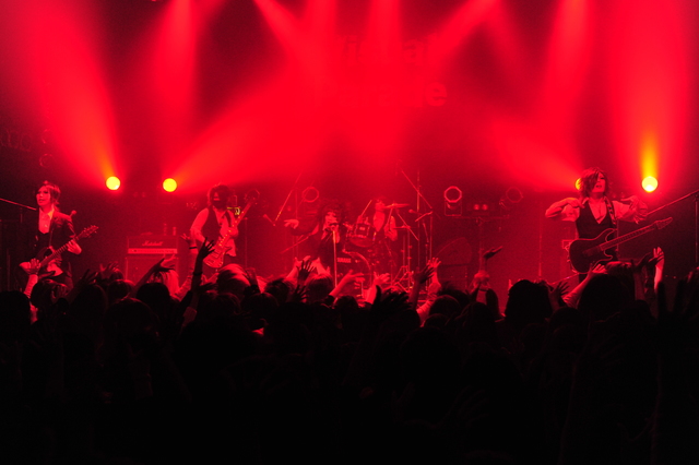 黒百合と影　撮影：坂口 正光