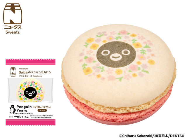 Suicaのペンギンマカロン　フランボワーズ 270円【NewDays「Suicaのペンギンキャンペーン」】