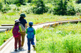 ミズバショウ湿原や、ワタスゲ湿原を巡るだけなら、平坦で、木道をのんびり歩ける｜栂池自然園